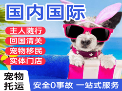 齐齐哈尔航空运输国际宠物托运 【国